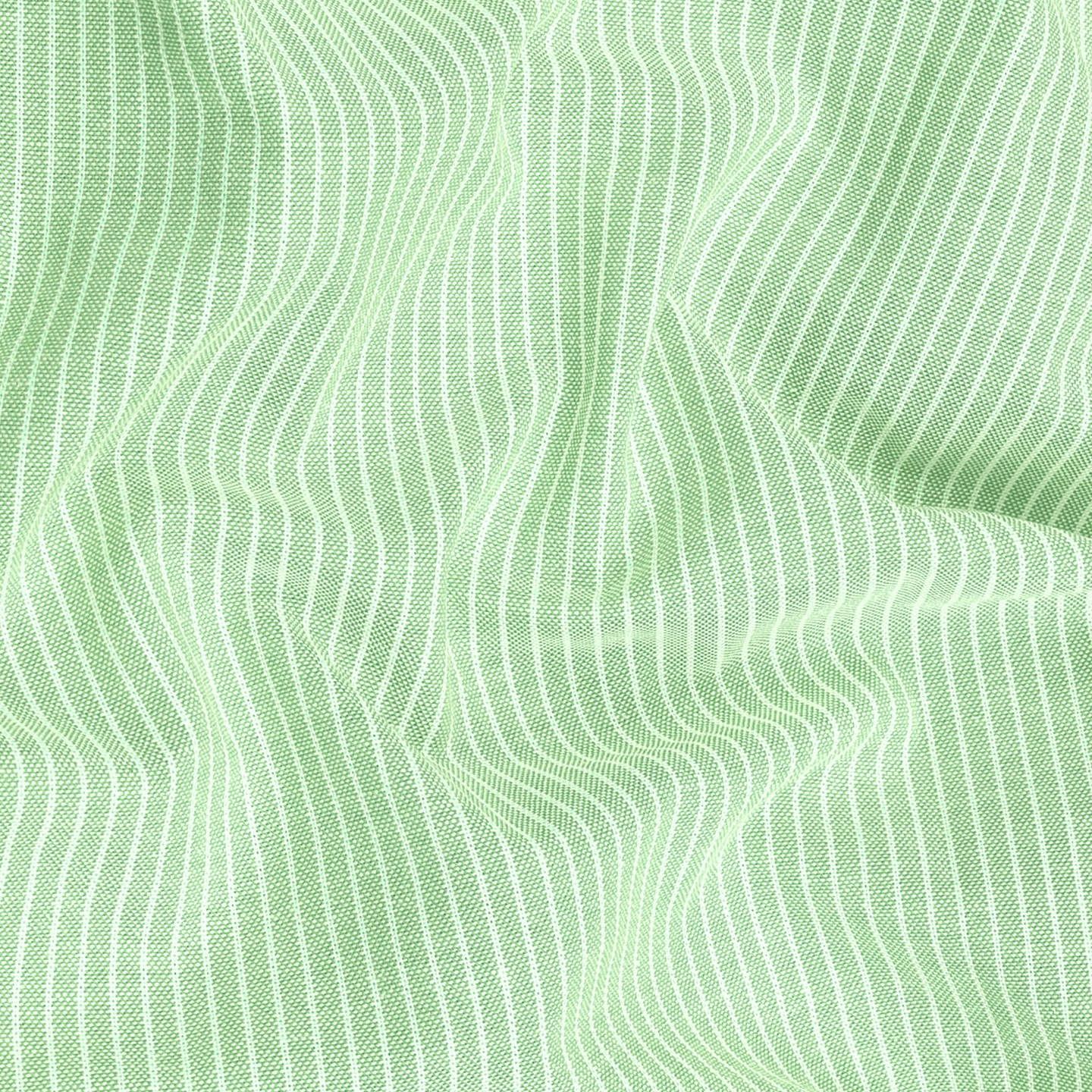 Pista Small Strip Down Button Oxford Cotton Shirt