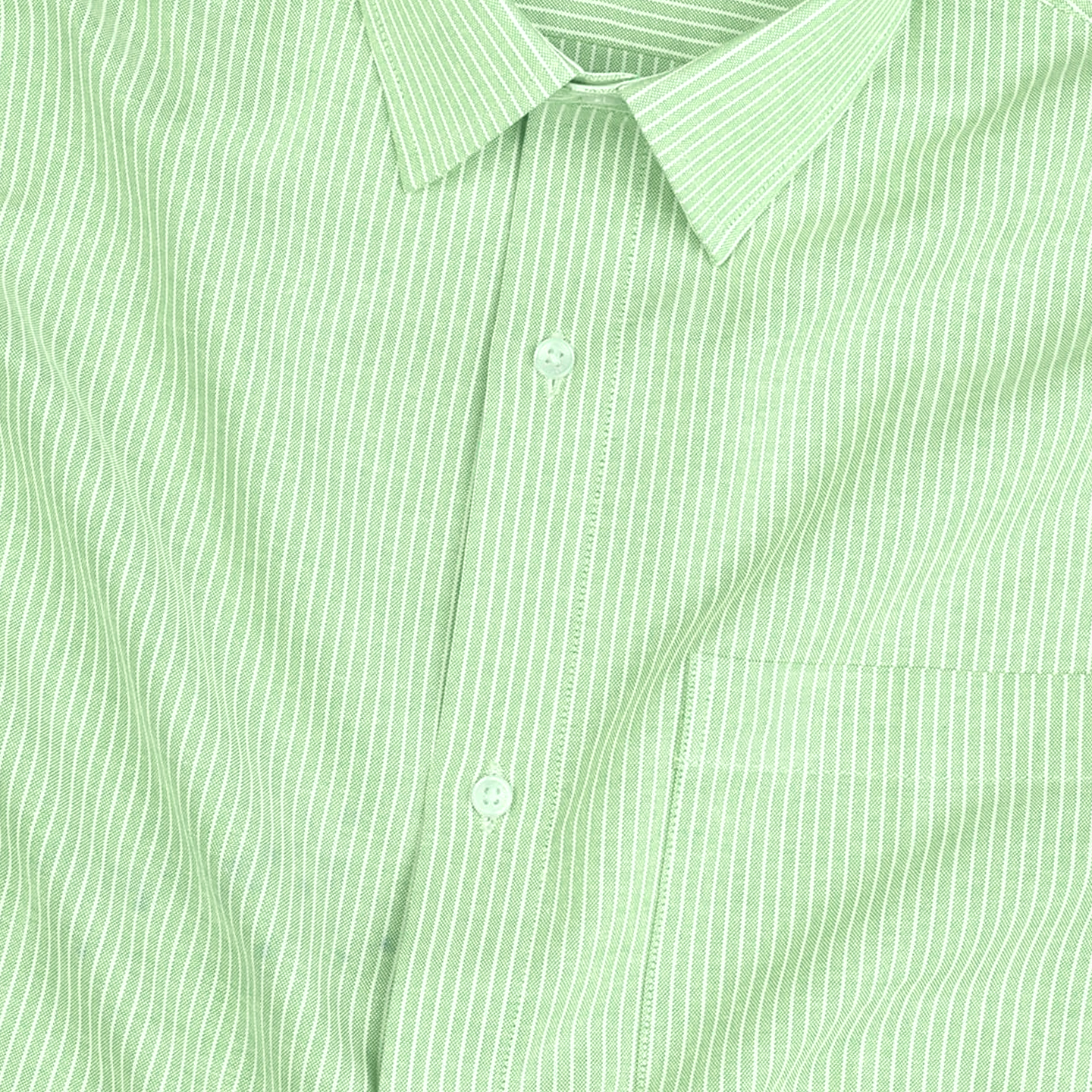 Pista Small Strip Down Button Oxford Cotton Shirt